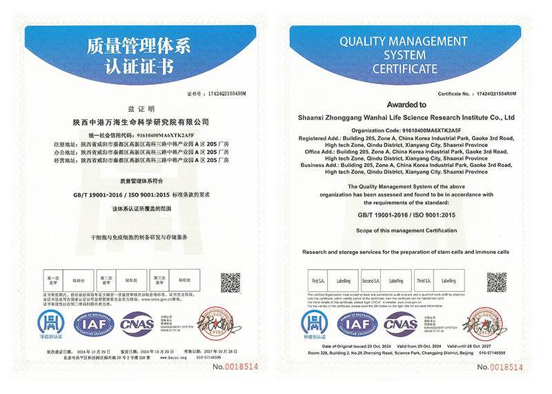 质量管理体系认证证书