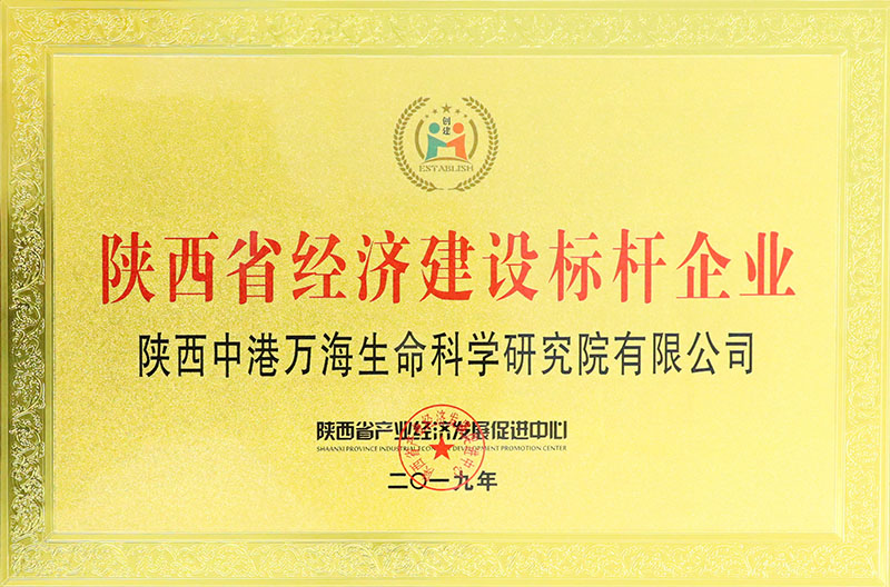 经济建设标杆企业